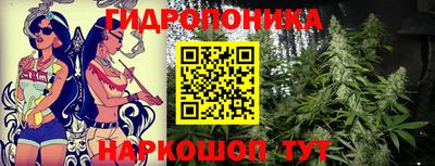 спиды Ливны