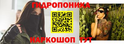 прущие грибы Лесосибирск