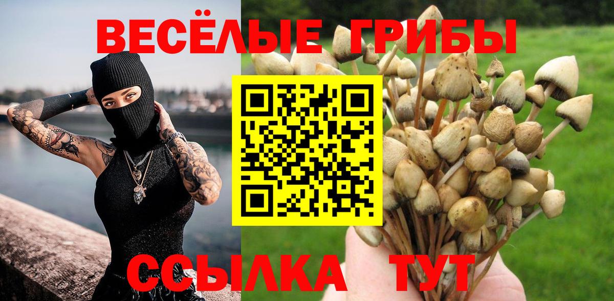 Галлюциногенные грибы мухоморы  Вход с VPN  Шебекино 
